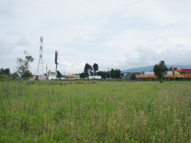 place photo 24