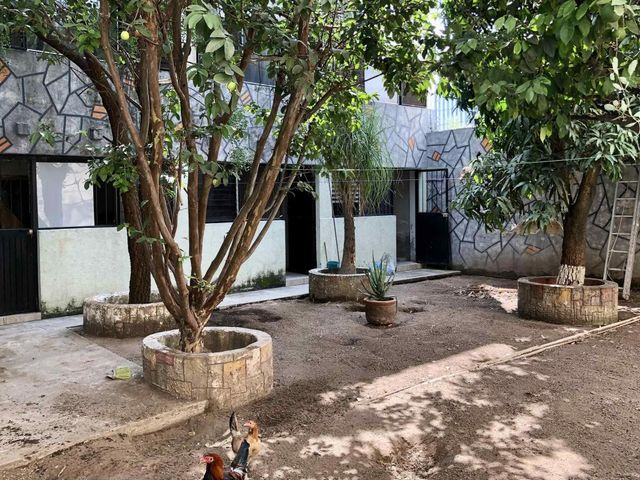 place photo 19