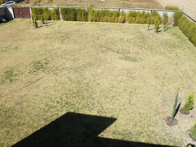 place photo 40