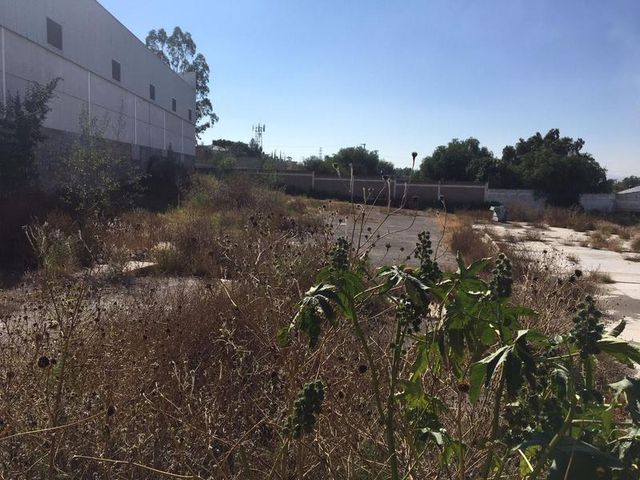 place photo 10