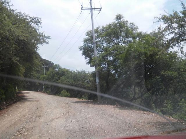 place photo 14