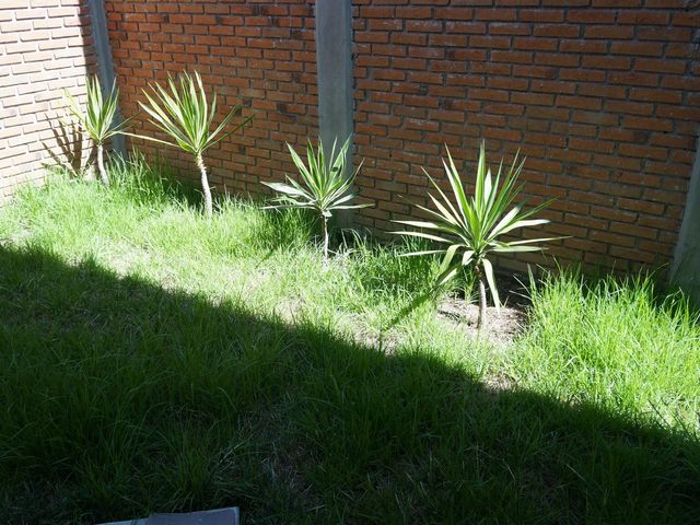 place photo 64