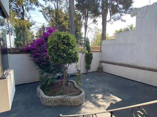 place photo 47