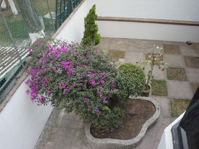 place photo 29