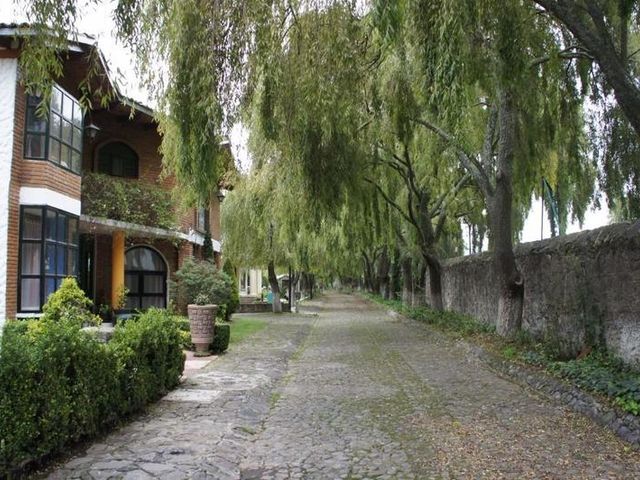 place photo 49