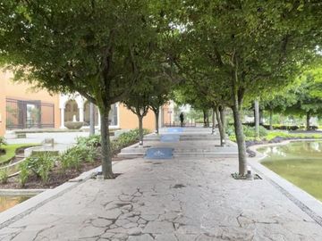 place photo 43