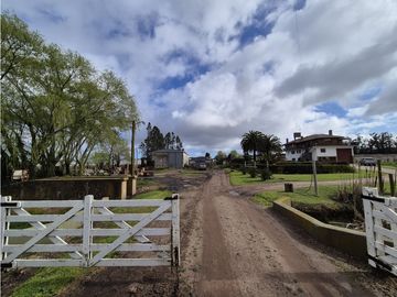 place photo 28