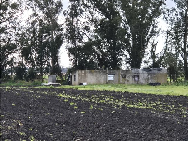 place photo 24