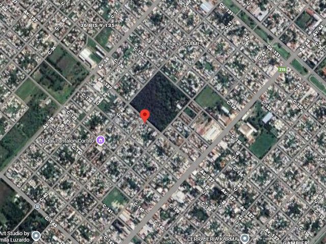 place photo 14