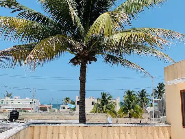 place photo 34