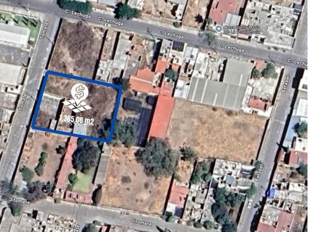 place photo 9