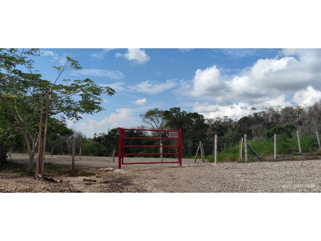 place photo 18