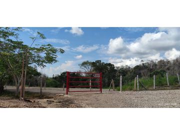 place photo 18