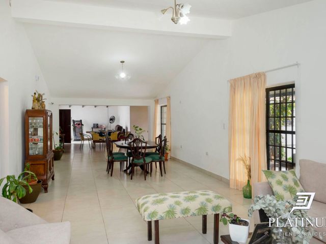 place photo 59