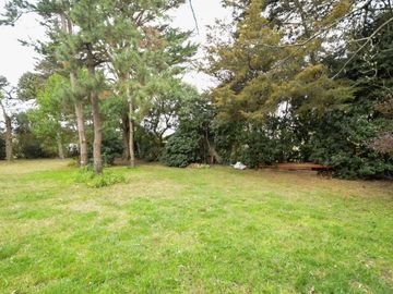 place photo 31
