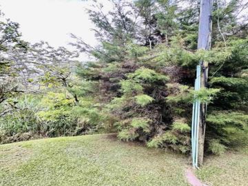 place photo 56