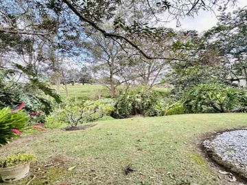 place photo 57