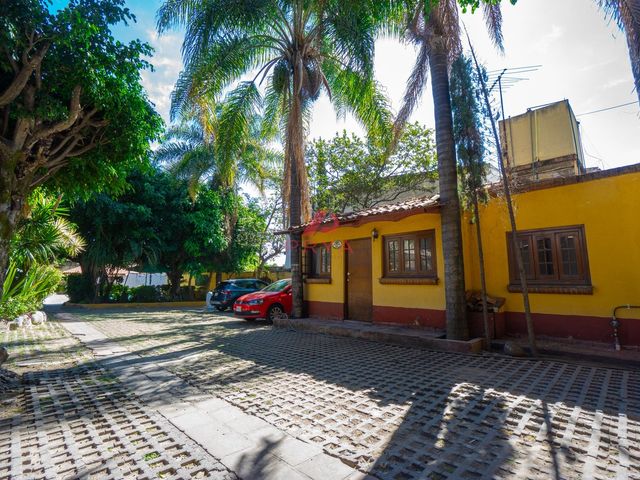place photo 41