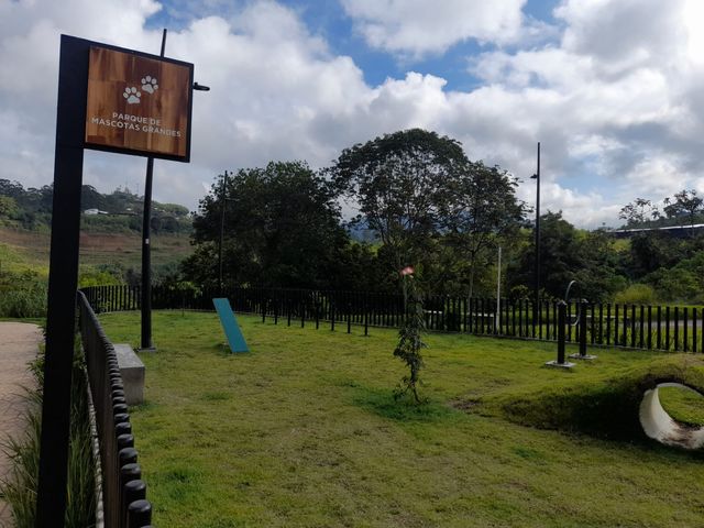 place photo 28