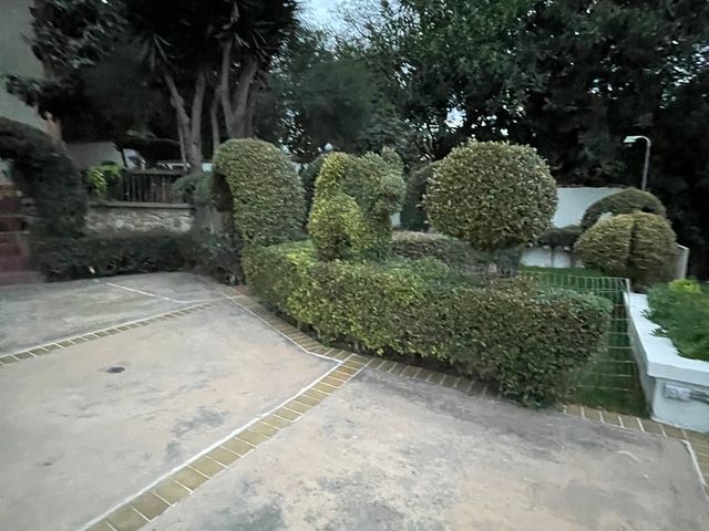 place photo 48