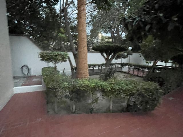 place photo 42