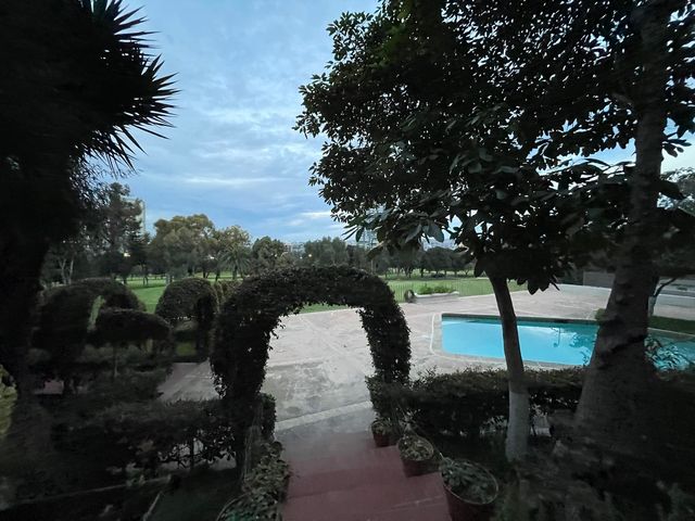 place photo 44