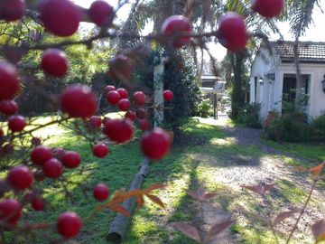 place photo 24