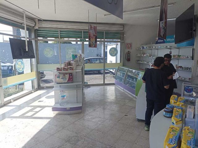 place photo 15