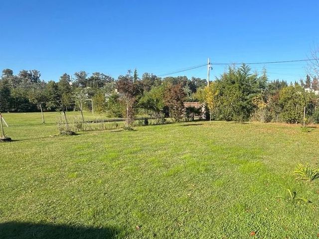 place photo 13
