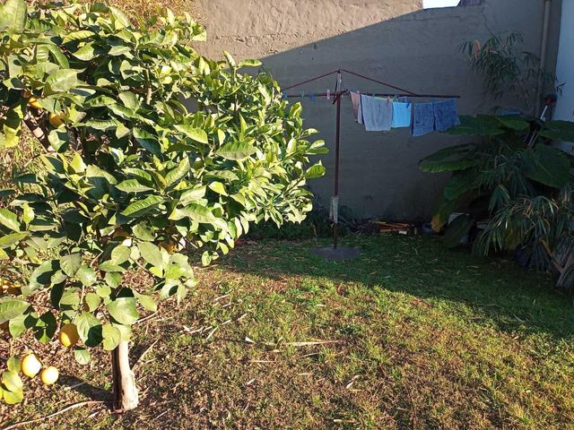 place photo 37