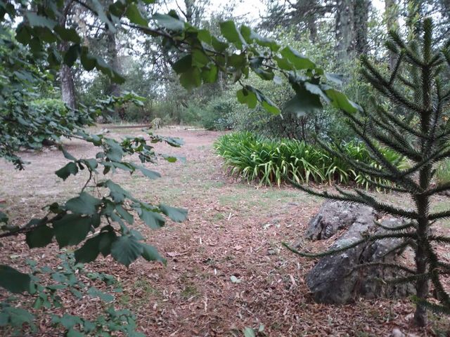 place photo 40