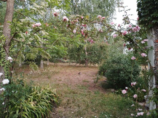 place photo 47