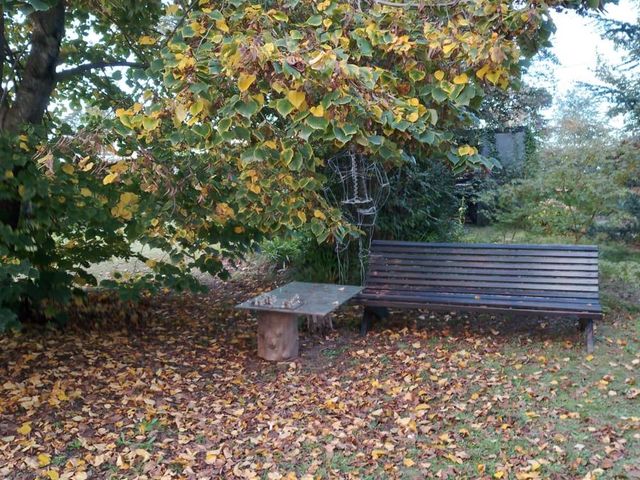 place photo 49