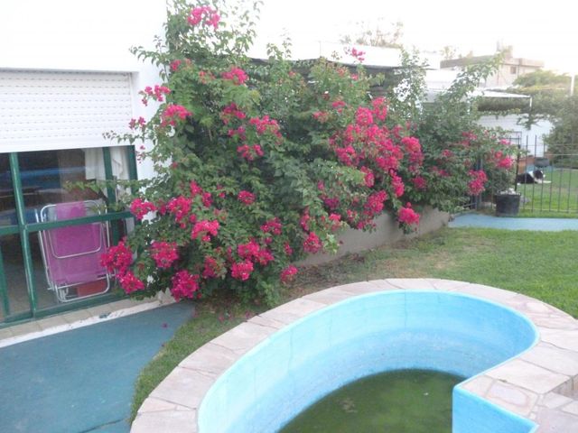 place photo 34