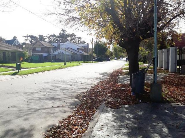 place photo 44