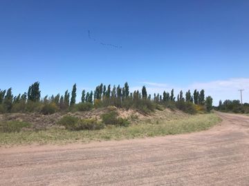 place photo 31