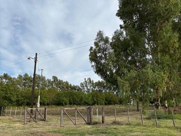 place photo 38