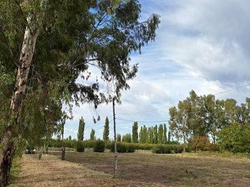 place photo 46