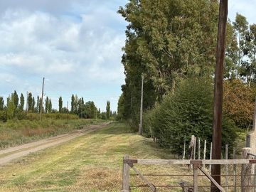 place photo 42