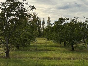 place photo 45