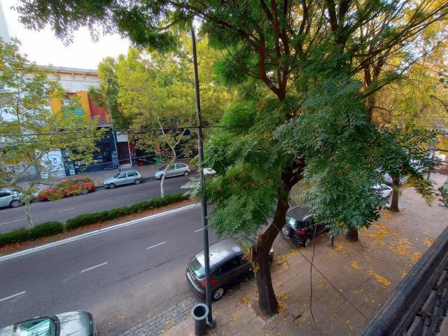 place photo 26