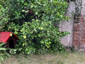 place photo 24