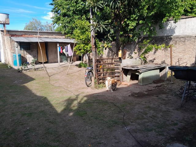 place photo 38