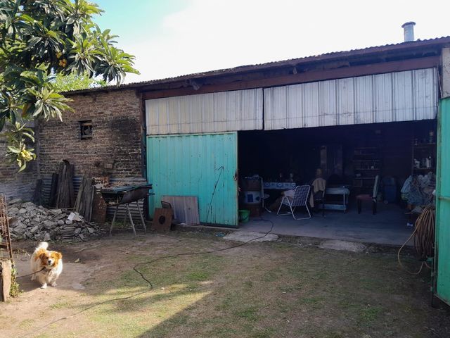 place photo 37