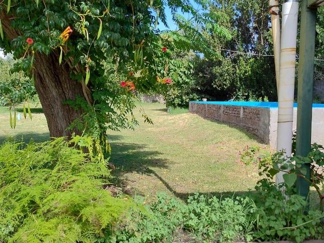 place photo 45