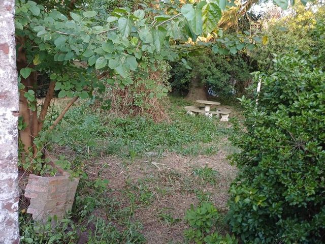 place photo 54