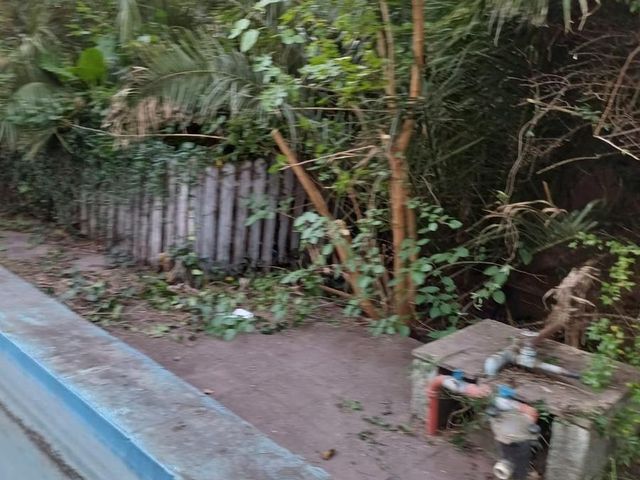 place photo 37
