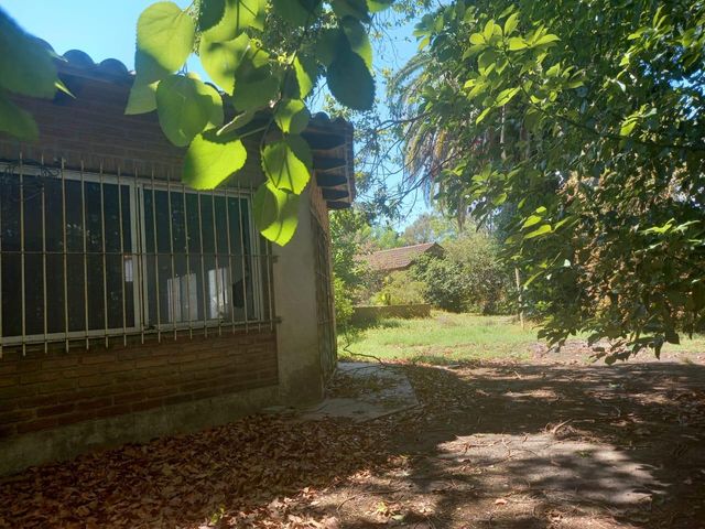 place photo 47