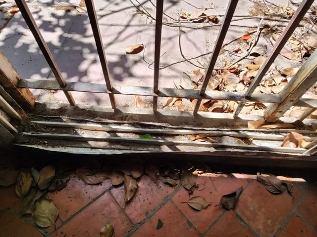 place photo 27