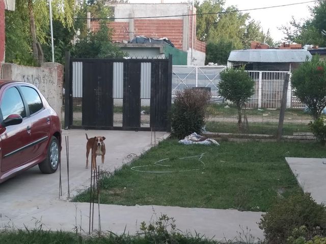 place photo 22